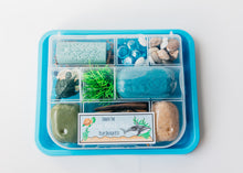 Load image into Gallery viewer, Under the Deep Blue Sea Play Dough Kit