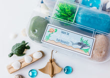 Load image into Gallery viewer, Under the Deep Blue Sea Play Dough Kit