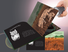 Load image into Gallery viewer, Shine-A-Light: Secrets of Animal Camouflage