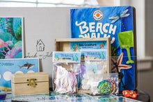 Load image into Gallery viewer, Image of "Beach Walk" book, Sea Creature Number Cards #1-12, Seashell ABC Cards, Seashell Place Holders, Clear Spinner for learning games and activities, 10-sided dice, treasure chest filled with resin gems and a Jack n Jill's Kits 4 Kids Activity Box.