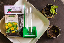 Load image into Gallery viewer, Up in the Garden and Down in the Dirt Learning Kit