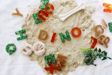 Load image into Gallery viewer, Dino Letter and Number Sets