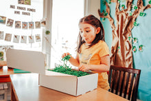 Load image into Gallery viewer, Backyard Bug Learning Kit