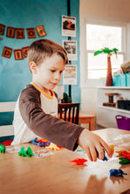Load image into Gallery viewer, Dino-Mite Learning Kit