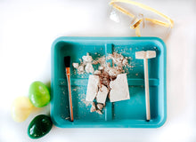 Load image into Gallery viewer, Dino-Mite Learning Kit