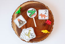 Load image into Gallery viewer, Dino-Mite Learning Kit