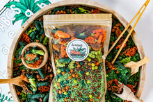 Load image into Gallery viewer, Jurassic Jungle Sensory Bin Filler
