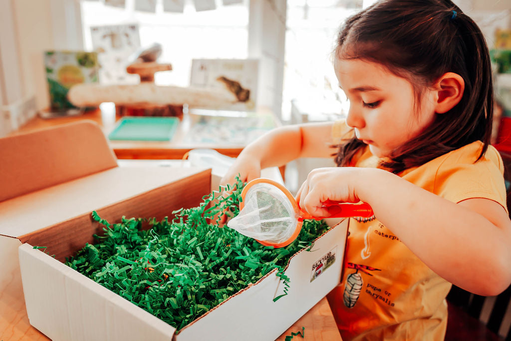Backyard Bug Learning Kit – Jack n Jill's Kits 4 Kids